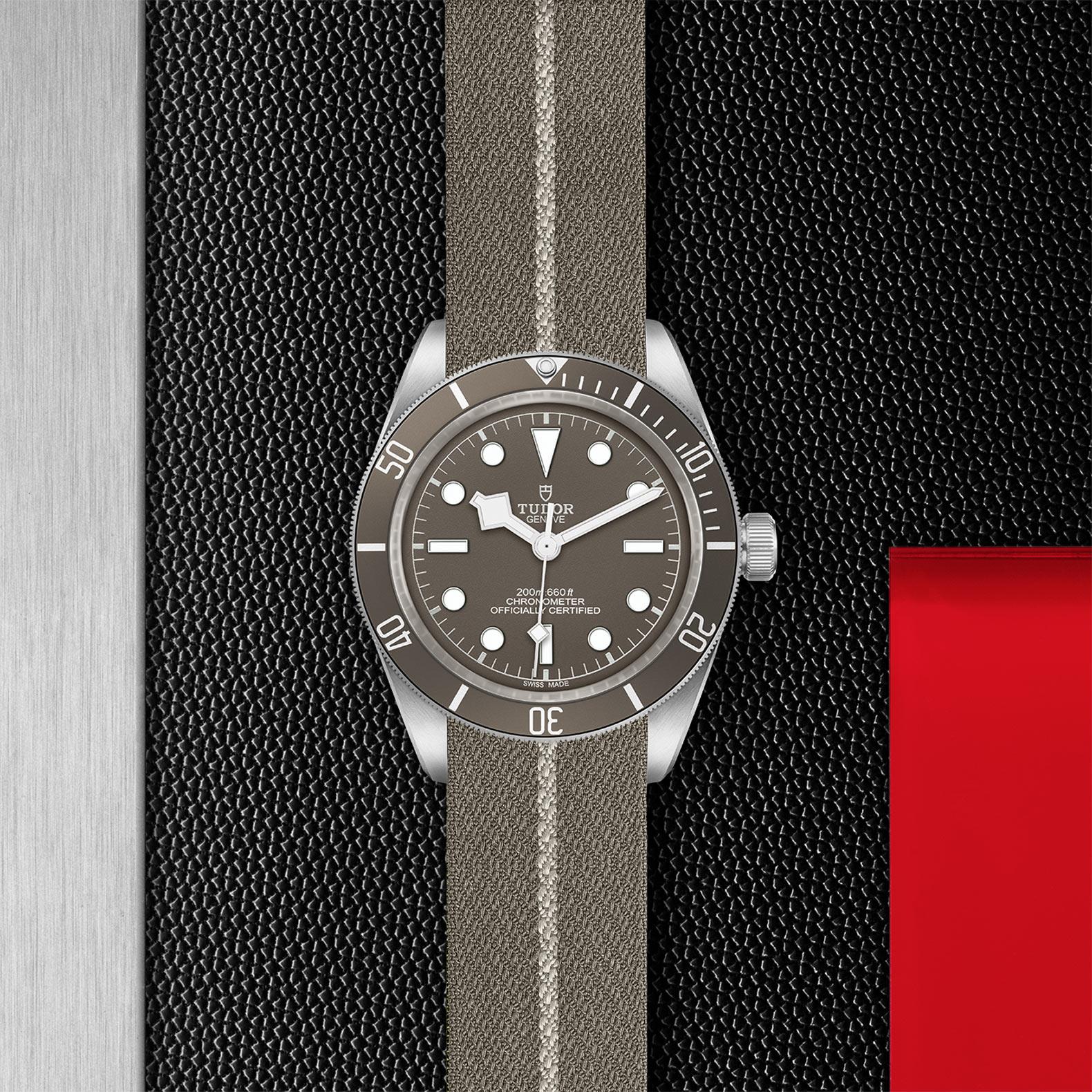 Tudor on sale canvas strap